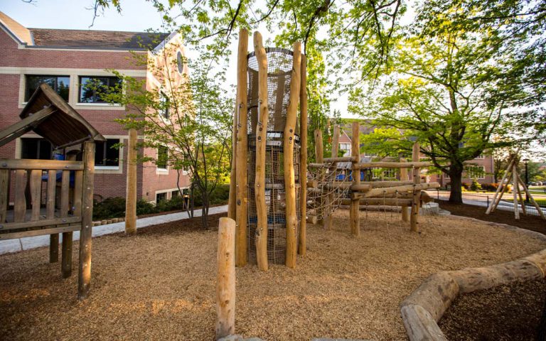 robinia log playground