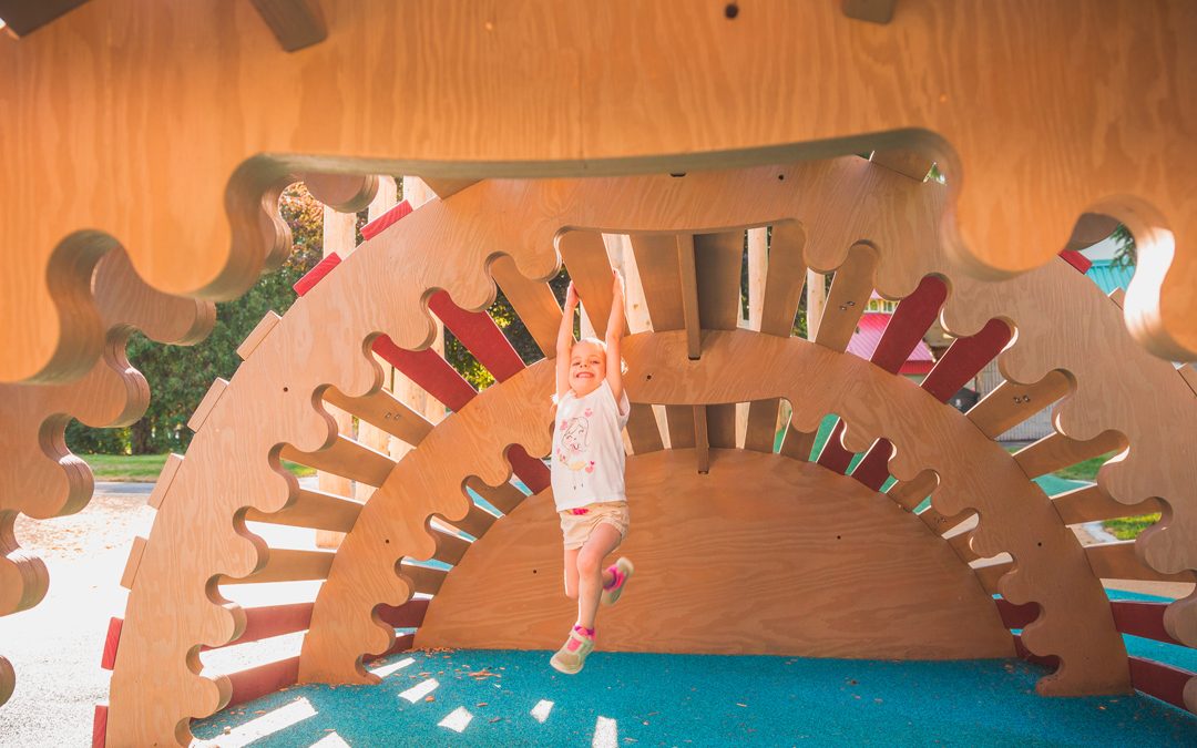 accessible inclusive design playground climber sculpture child play