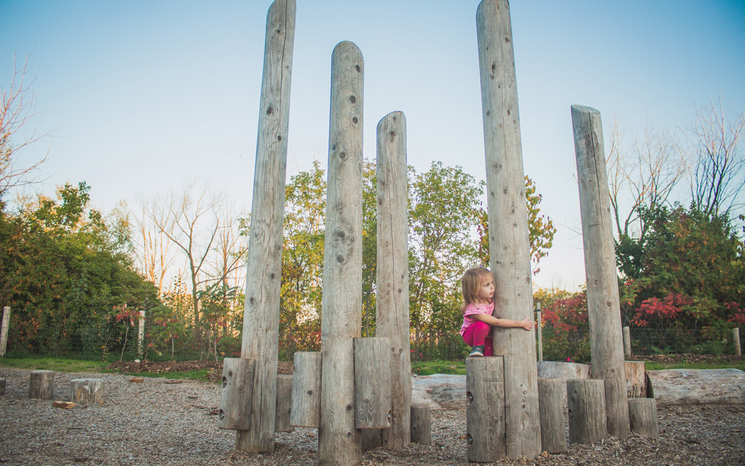log playground wooden posts play