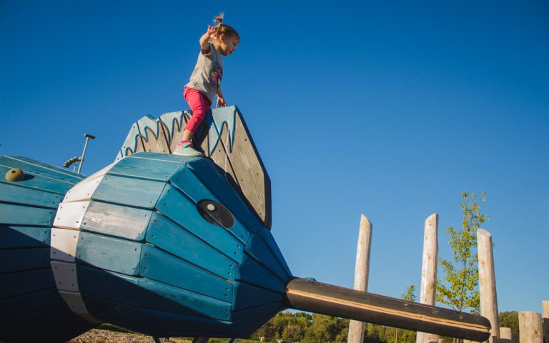 westmount kingfisher playground sculpture