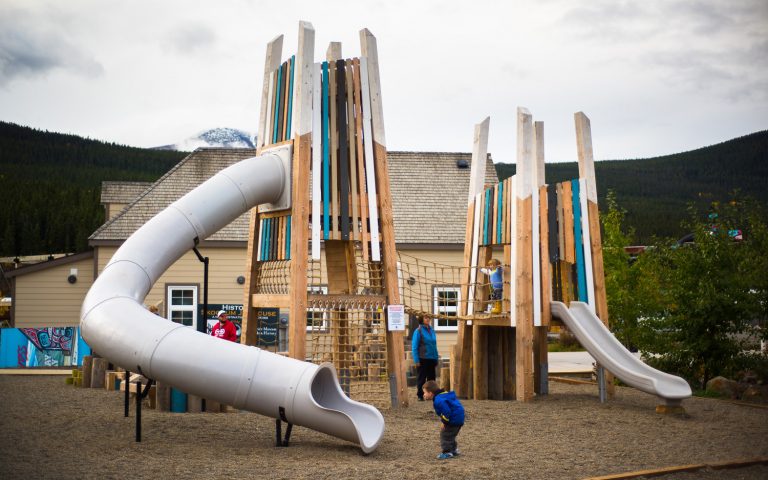 Timber towers epic playground