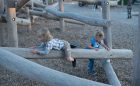 Mitchell Park natural log climber playground