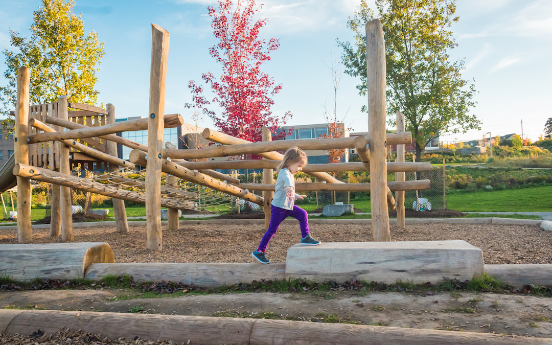 playground natural log bench trees log jam