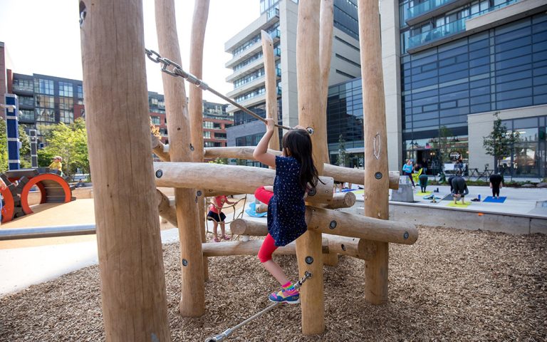 robinia climbing playground