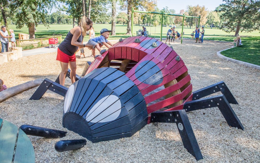 Denver playground wood ladybug sculpture play