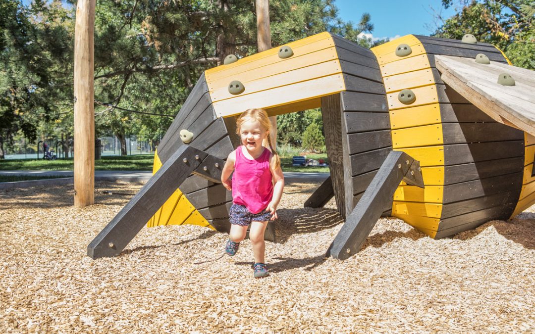 bumblebee tunnel climber wood sculpture playground denver