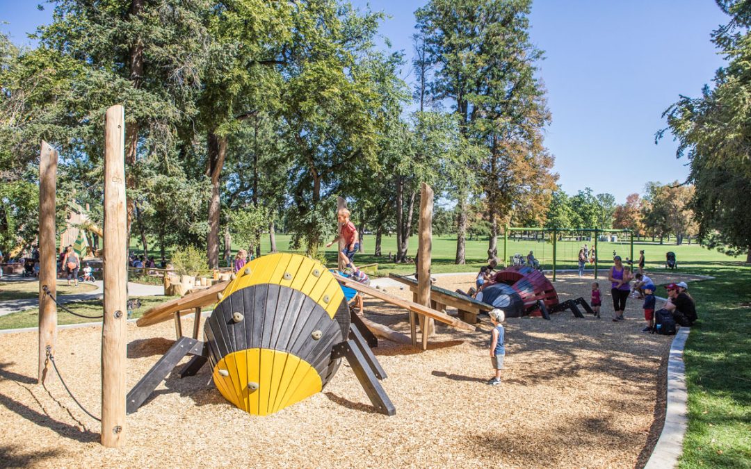 Washington Park Natural Playground Bug Sculptures | Earthscape Play