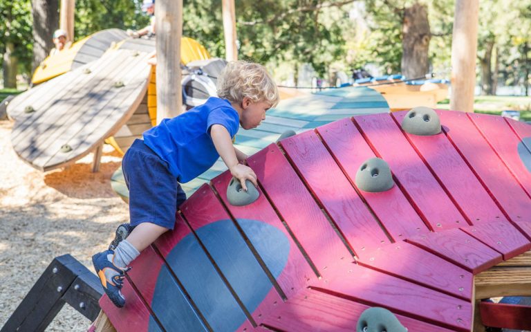 natural playground ladybug sculpture climber wood structure