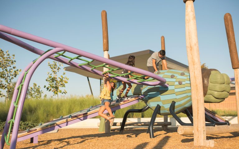 natural-wood-playground-dragonfly-insect-sculpture-bugs-bridgeland-park