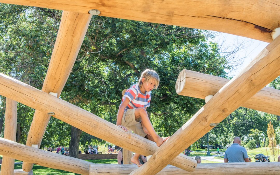 washington park Colorado natural playground log jam