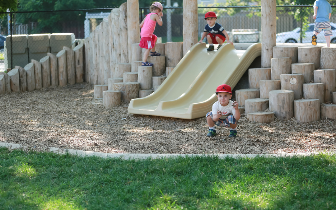 slide hill stepper wood natural play space
