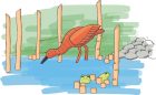 natural wood playground scarlet ibis bird sculpture frogs steppers logs ropes