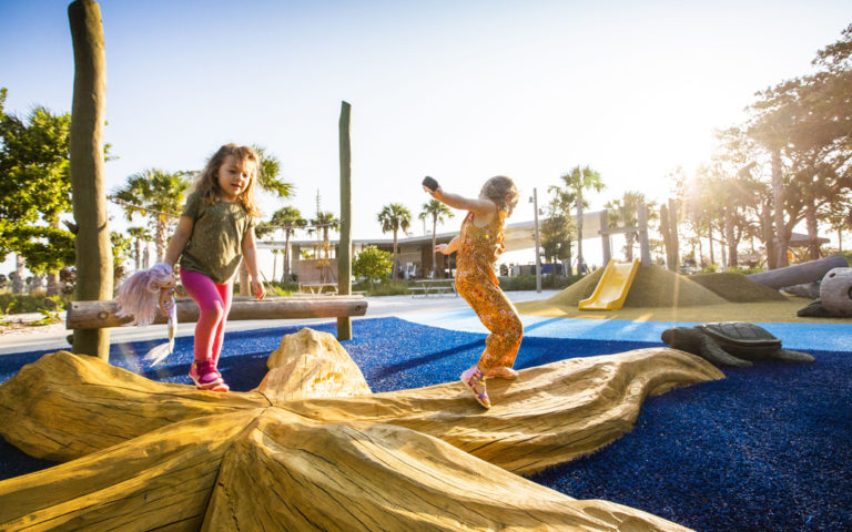 Florida destination playground starfish robinia log climber ropes hill slide