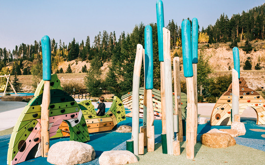 River Park Breckenridge Colorado wood playground fish sculpture climbers
