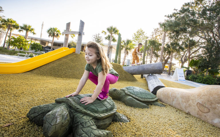 St. Petersburg Pier Florida destination playground turtle carving hill slide