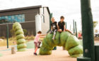 Wake Forest North Carolina custom wood playground worm sculpture log steppers