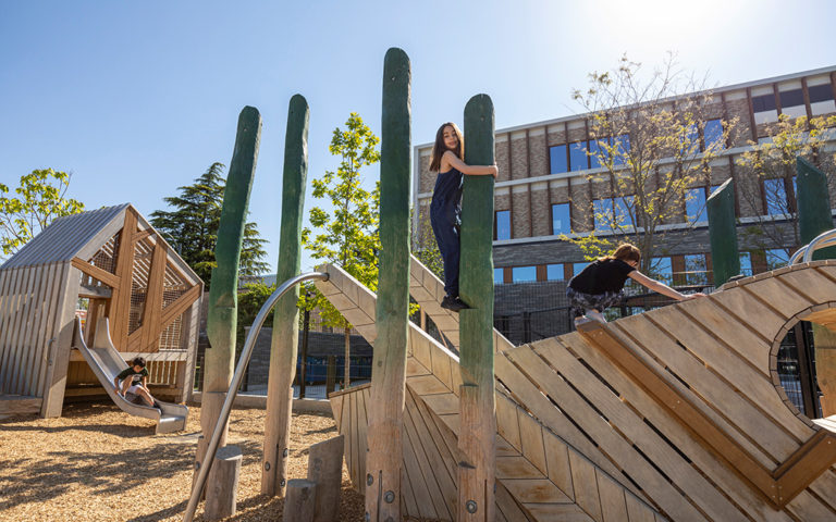 Custom school playground at Georgetown Day School in Washington with a grasshopper and treehouse.