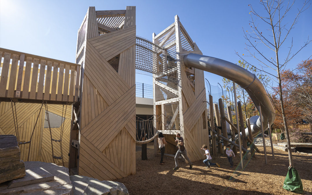 GDS Washington DC private school natural wood playground towers bridge climbing