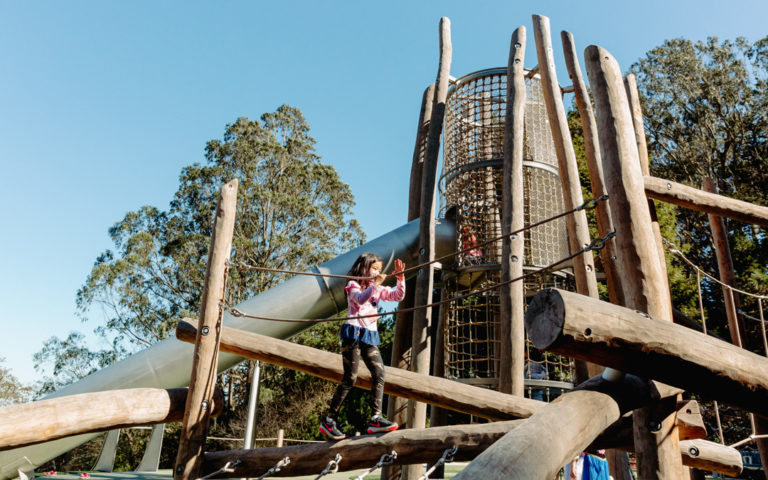 Redwood Grove park playground natural log tower climbing adventure