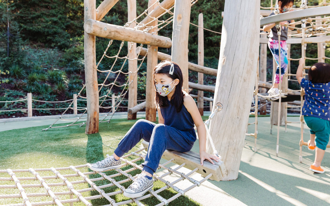 Redwood Grove park playground natural wood equipment net hammock tower climbing