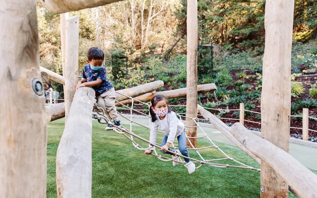 Redwood Grove wood playground robinia logs climber nets ropes artificial turf