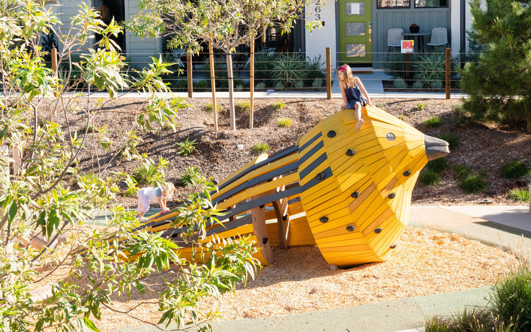 Irvine California natural wood playground accoya custom bird sculpture
