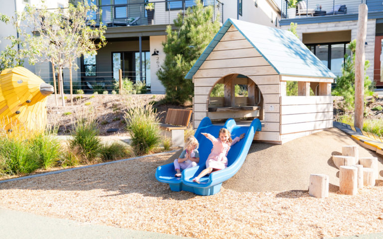 Irvine California natural wood playground accoya hut slide robinia log steppers