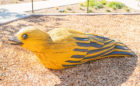 Overlook Park Irvine California bird oak carving custom natural playground