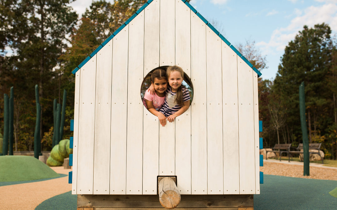 E Carroll Joyner park Wake Forest birdhouse hut social play natural wood playground