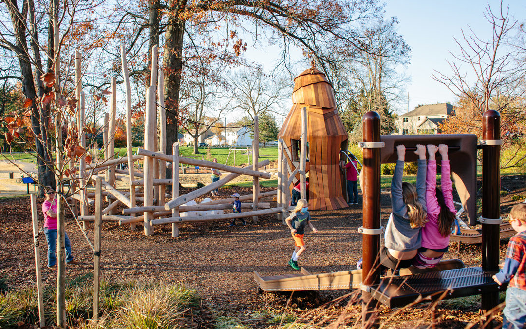 natural playground Westerville Ohio roller slide hawk sculpture robinia log climber