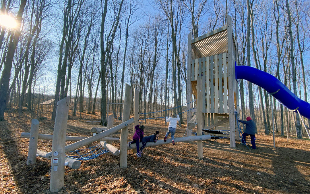 Walter Henry Park Orillia custom wood natural playground tower tube slide robinia log climber