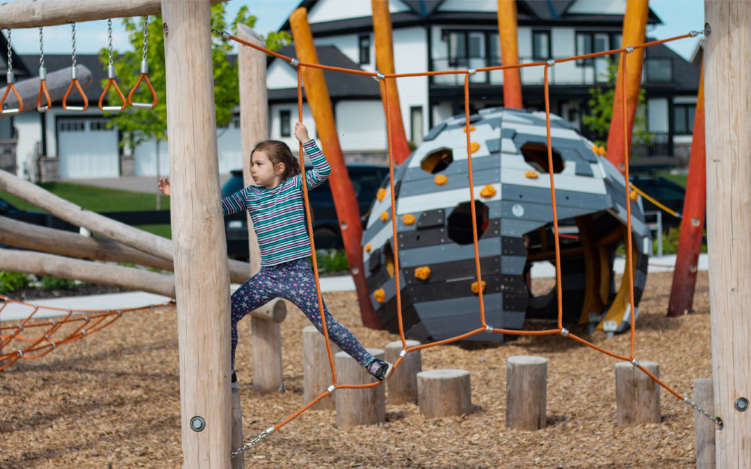 Starfall Park natural playground with vertical ropes