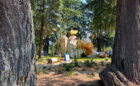 Woods gone wild inclusive playground in Hillsboro Oregon with Oro sculpture